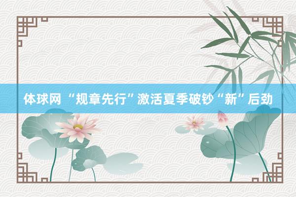 体球网 “规章先行”激活夏季破钞“新”后劲