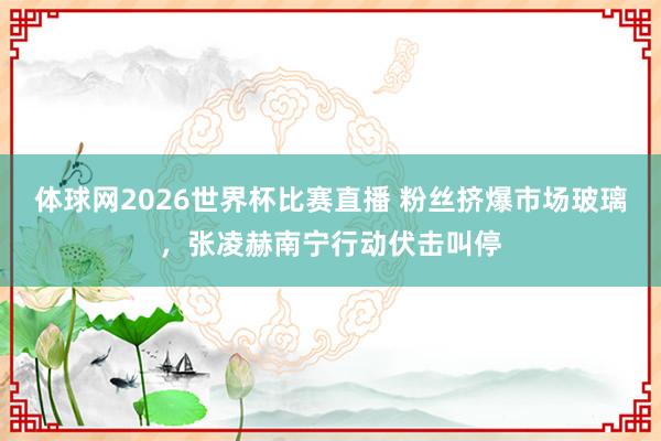 体球网2026世界杯比赛直播 粉丝挤爆市场玻璃，张凌赫南宁行动伏击叫停