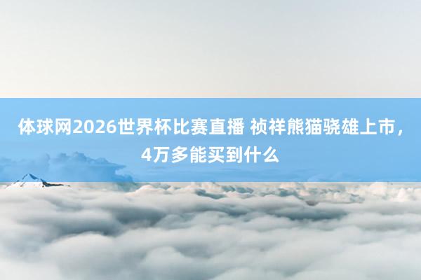 体球网2026世界杯比赛直播 祯祥熊猫骁雄上市，4万多能买到什么