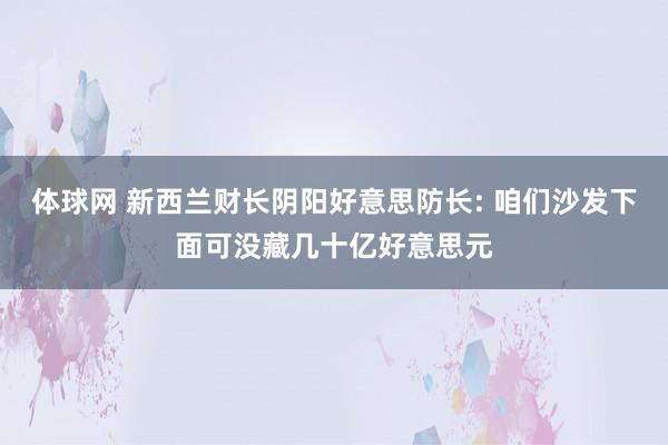 体球网 新西兰财长阴阳好意思防长: 咱们沙发下面可没藏几十亿好意思元