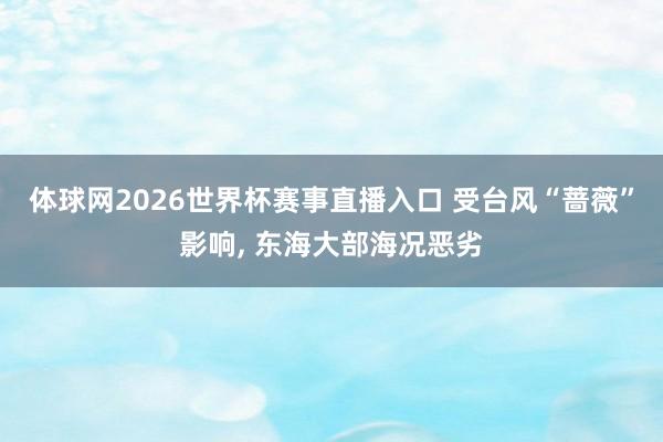 体球网2026世界杯赛事直播入口 受台风“蔷薇”影响, 东海大部海况恶劣