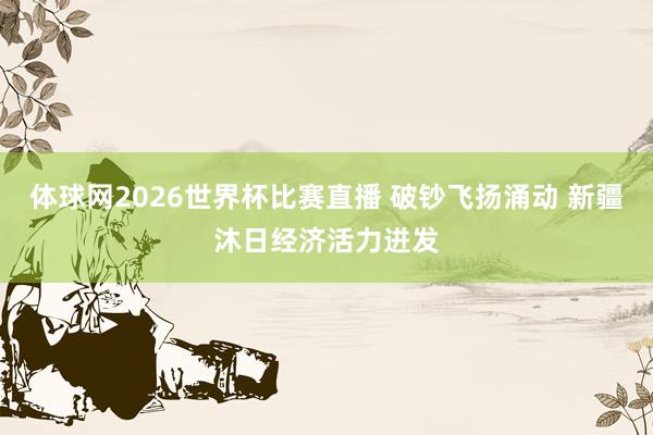 体球网2026世界杯比赛直播 破钞飞扬涌动 新疆沐日经济活力迸发