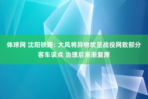 体球网 沈阳铁路: 大风将异物吹至战役网致部分客车误点 治理后渐渐复原
