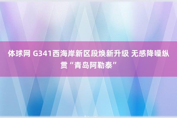 体球网 G341西海岸新区段焕新升级 无感降噪纵贯“青岛阿勒泰”