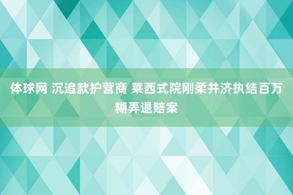 体球网 沉追款护营商 莱西式院刚柔并济执结百万糊弄退赔案