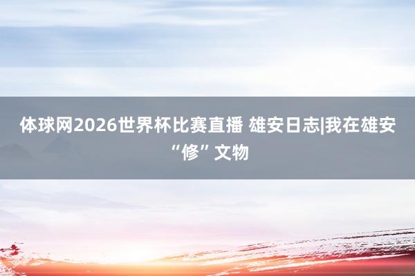 体球网2026世界杯比赛直播 雄安日志|我在雄安“修”文物