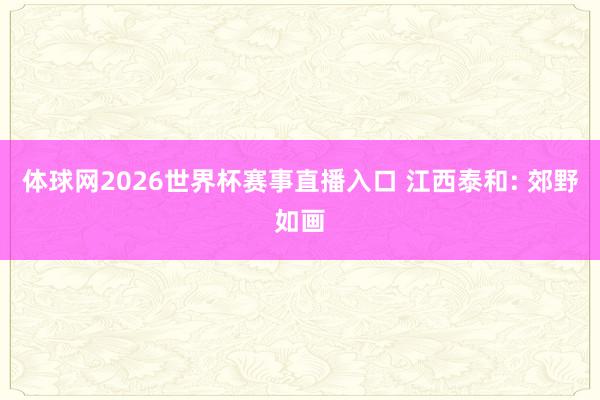 体球网2026世界杯赛事直播入口 江西泰和: 郊野如画