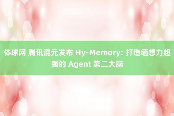体球网 腾讯混元发布 Hy-Memory: 打造缅想力超强的 Agent 第二大脑