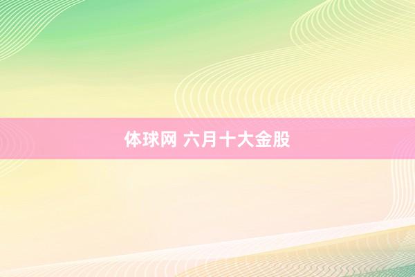 体球网 六月十大金股