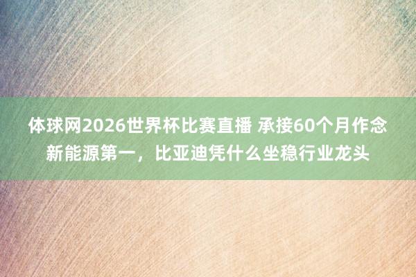 体球网2026世界杯比赛直播 承接60个月作念新能源第一，比亚迪凭什么坐稳行业龙头