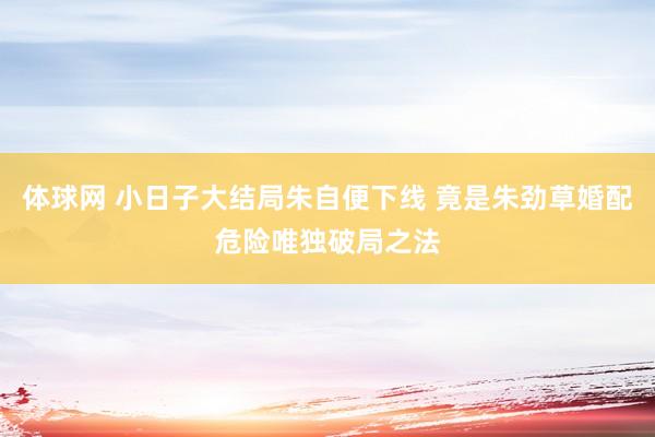 体球网 小日子大结局朱自便下线 竟是朱劲草婚配危险唯独破局之法
