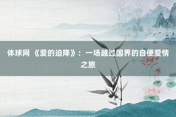 体球网 《爱的迫降》：一场越过国界的自便爱情之旅