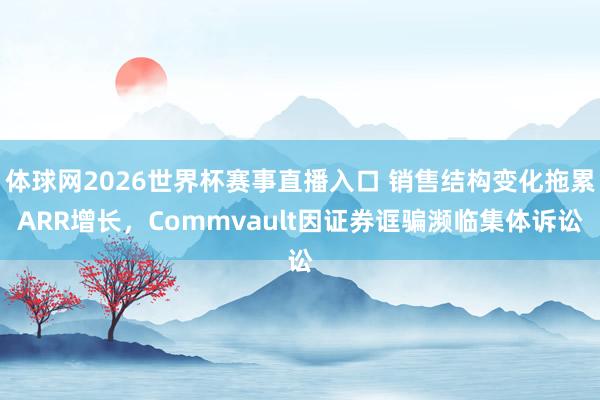 体球网2026世界杯赛事直播入口 销售结构变化拖累ARR增长，Commvault因证券诓骗濒临集体诉讼