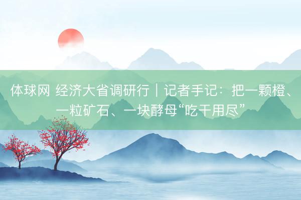 体球网 经济大省调研行｜记者手记：把一颗橙、一粒矿石、一块酵母“吃干用尽”
