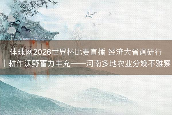 体球网2026世界杯比赛直播 经济大省调研行｜耕作沃野蓄力丰充——河南多地农业分娩不雅察
