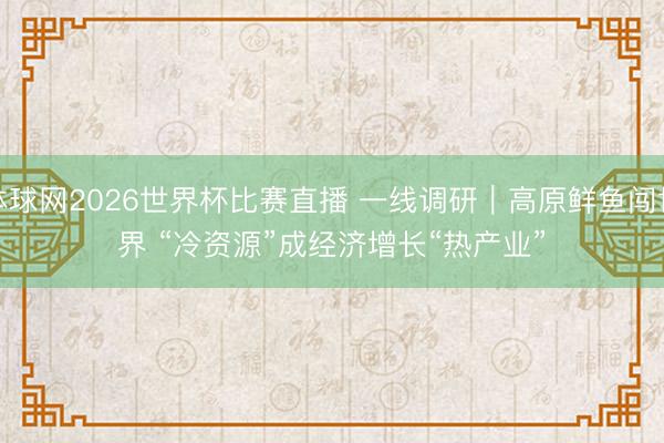 体球网2026世界杯比赛直播 一线调研｜高原鲜鱼闯世界 “冷资源”成经济增长“热产业”
