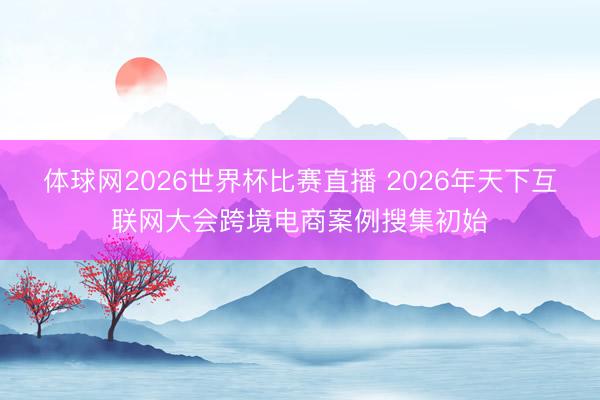 体球网2026世界杯比赛直播 2026年天下互联网大会跨境电商案例搜集初始