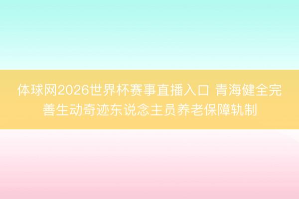 体球网2026世界杯赛事直播入口 青海健全完善生动奇迹东说念主员养老保障轨制