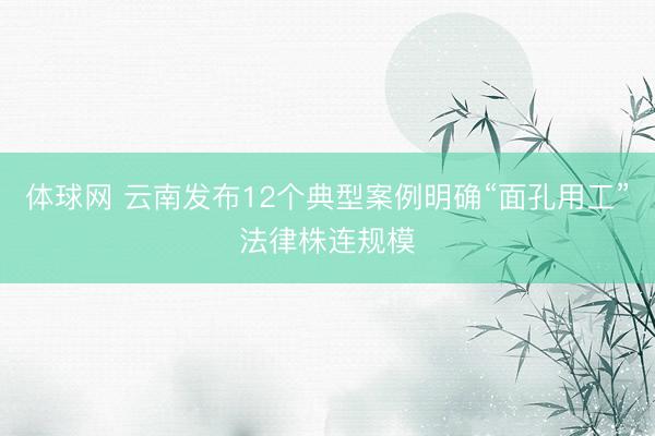 体球网 云南发布12个典型案例明确“面孔用工”法律株连规模
