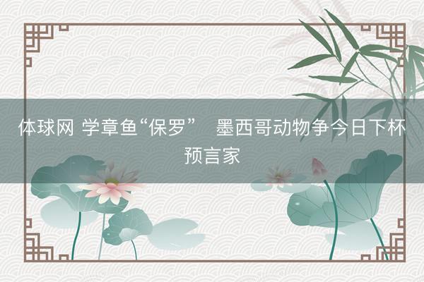 体球网 学章鱼“保罗”　墨西哥动物争今日下杯预言家